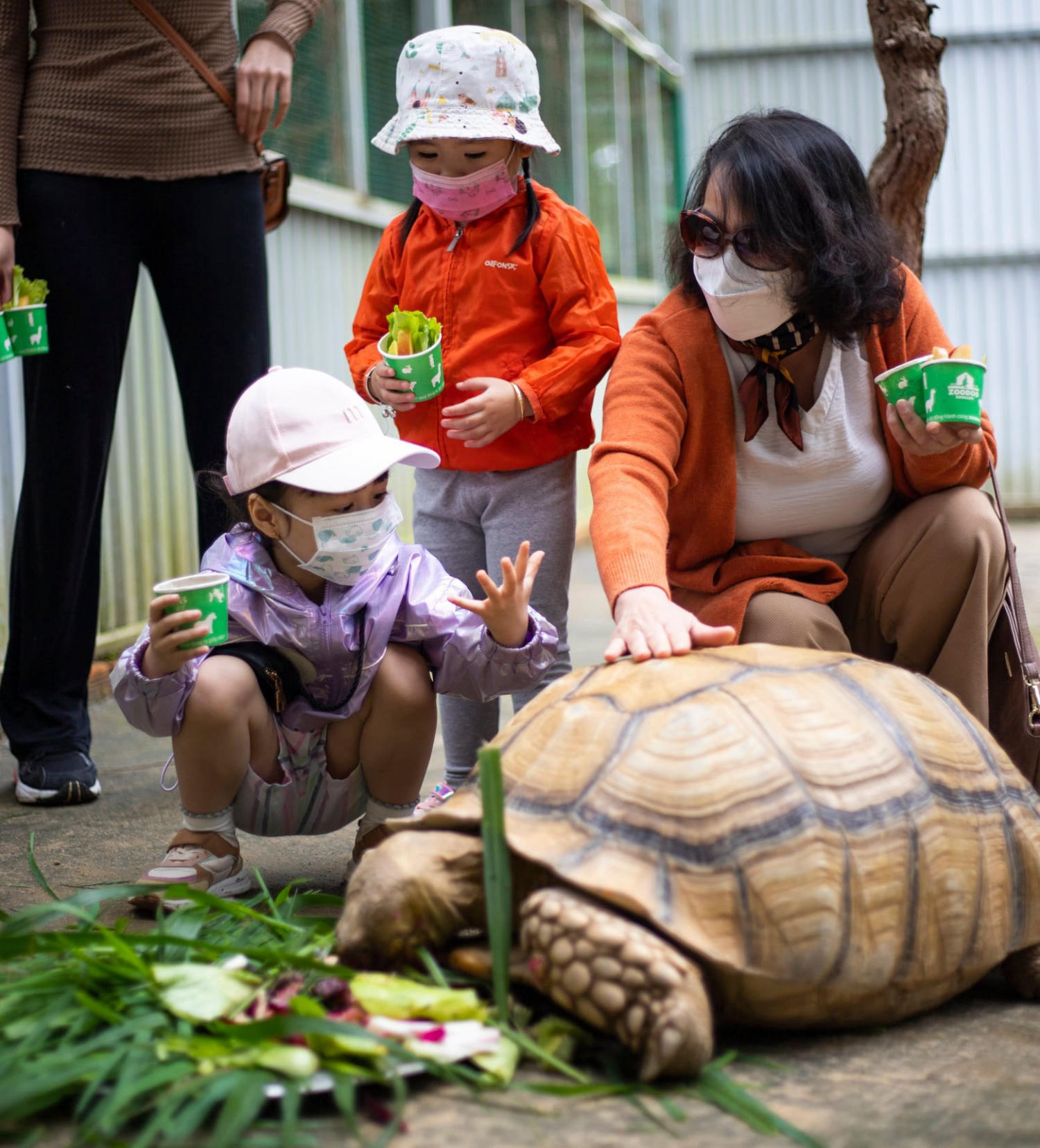 Một ngày khám phá Zoodoo Phan Rang, vườn thú siêu thú vị tại Ninh Thuận 5
