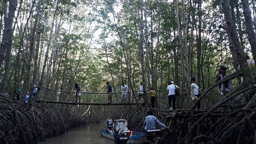 Một ngày ở Điểm du lịch cộng đồng 3 Sú, trải nghiệm làm nông dân 5