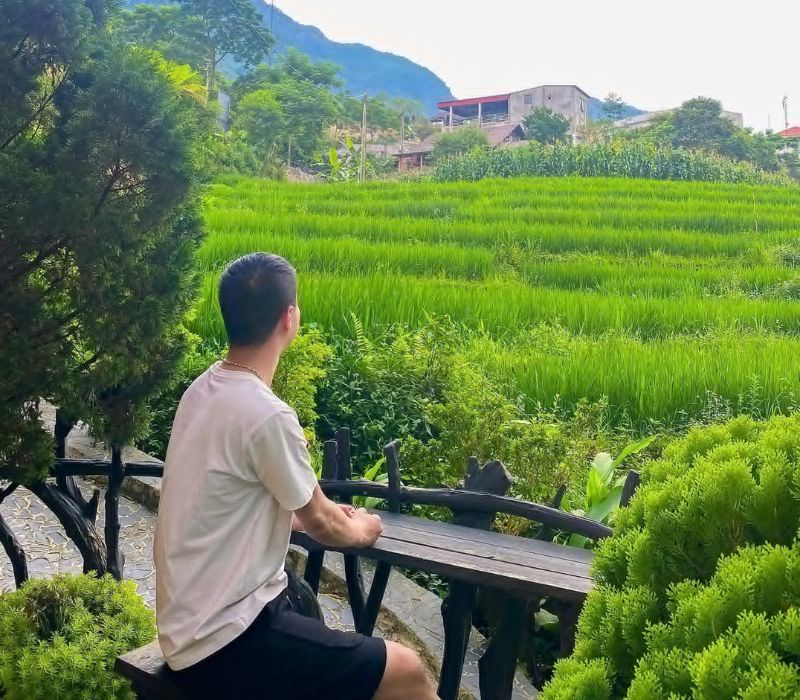 MT House Sa Pa: Homestay săn mây, ngắm lúa chín ruộng bậc thang ‘triệu view’ 2