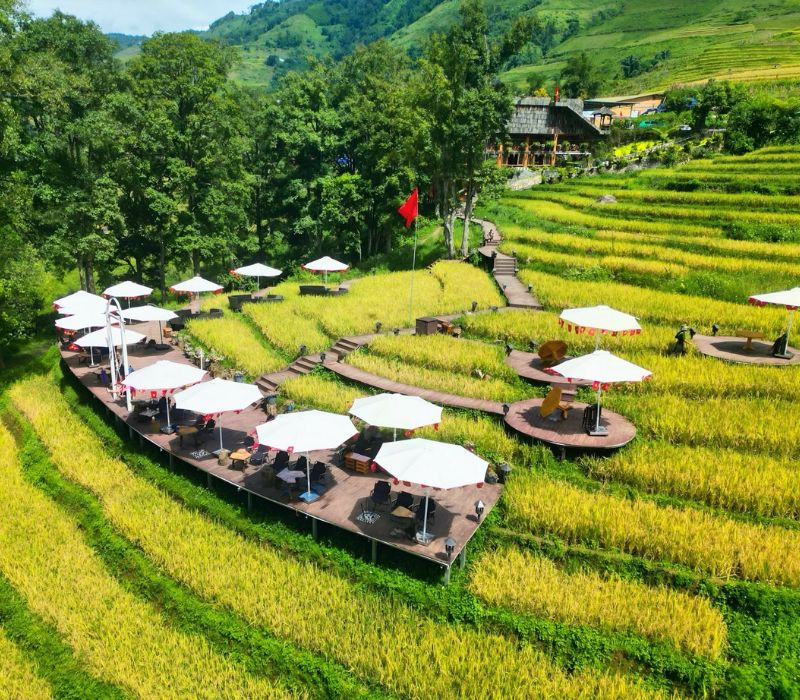 MT House Sa Pa: Homestay săn mây, ngắm lúa chín ruộng bậc thang ‘triệu view’ 8