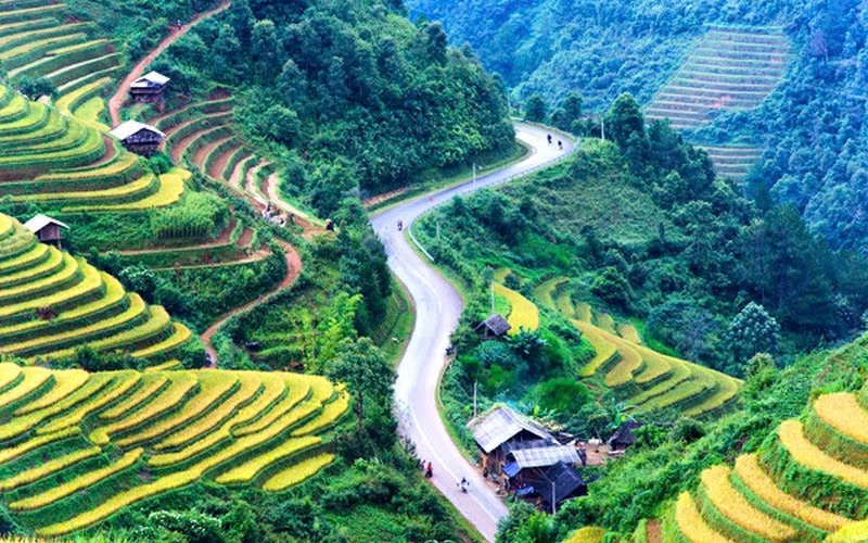 Cẩm nang du lịch 4 mùa tại Mù Cang Chải 3