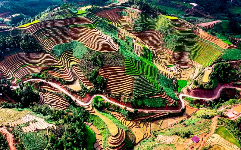 Cẩm nang du lịch 4 mùa tại Mù Cang Chải 4