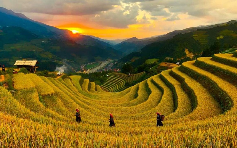 Cẩm nang du lịch 4 mùa tại Mù Cang Chải 8