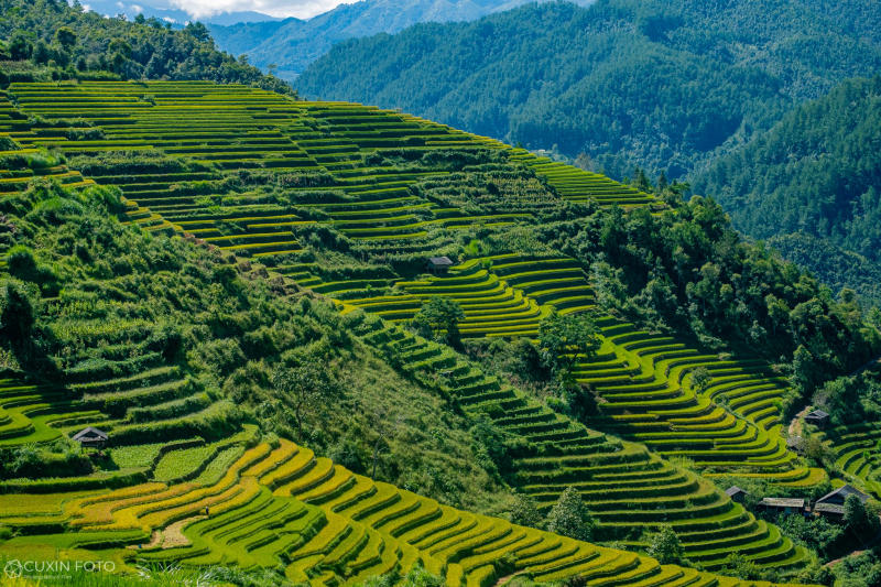 Mù Cang Chải hùng vĩ và nên thơ trên vùng cao Yên Bái 5