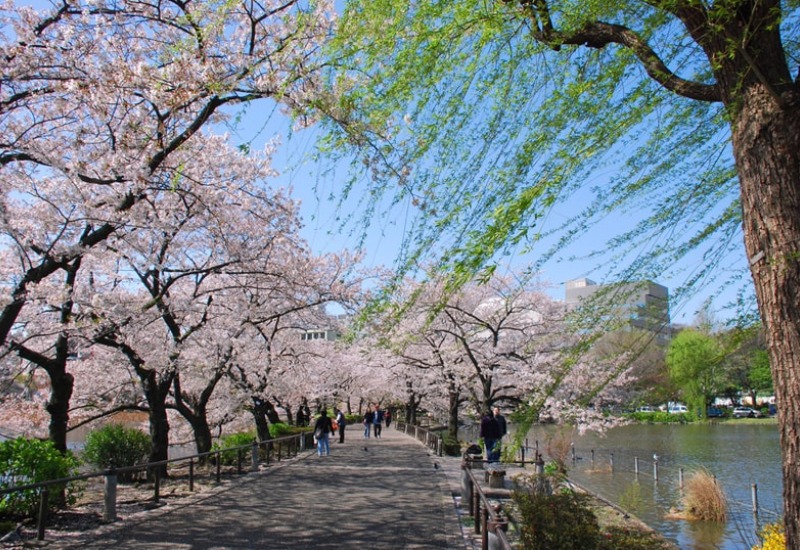 Khám phá công viên Ueno: công viên lâu đời nhất tại Tokyo 4