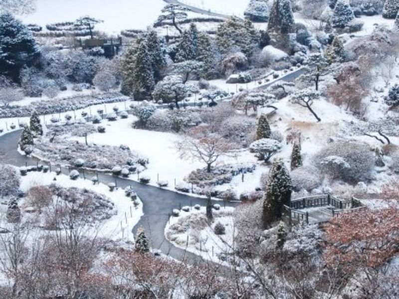 Bí quyết du lịch mùa đông Hàn Quốc phủ đầy tuyết trắng 11