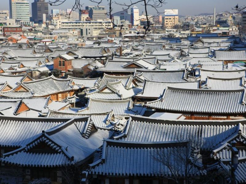 Bí quyết du lịch mùa đông Hàn Quốc phủ đầy tuyết trắng 13