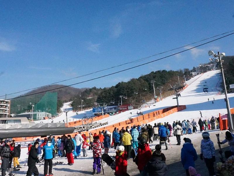 Bí quyết du lịch mùa đông Hàn Quốc phủ đầy tuyết trắng 7
