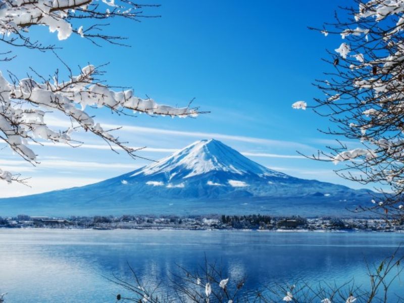 Vẻ đẹp thơ mộng của hồ Kawaguchi: Chuyến du ngoạn không thể bỏ qua 4