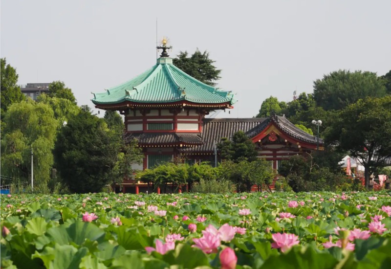 Khám phá công viên Ueno: công viên lâu đời nhất tại Tokyo 5