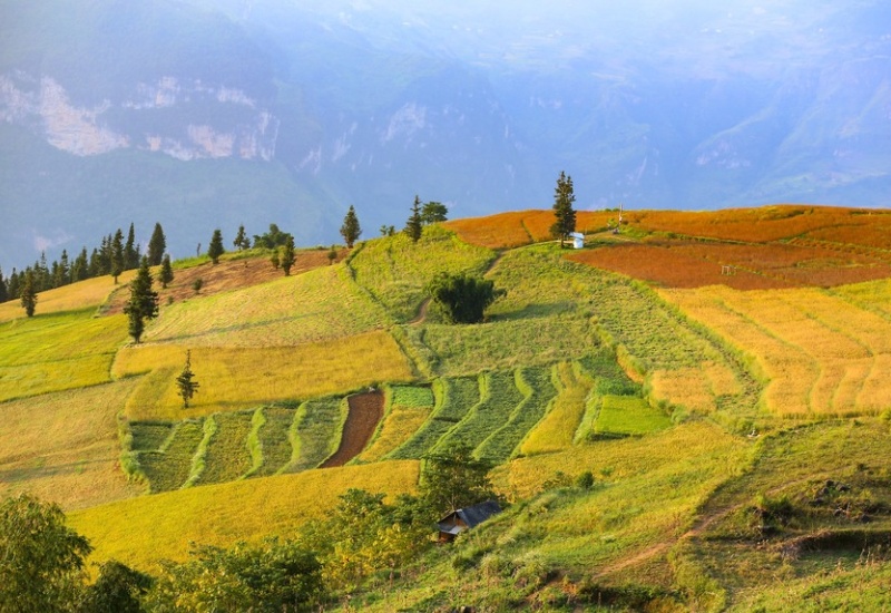 Khám phá Suôi Thầu: “Thảo nguyên châu Âu” giữa lòng Hà Giang 10