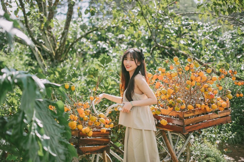 Kinh nghiệm du ngoạn mùa hồng Đà Lạt bạn nên bỏ túi ngay 4