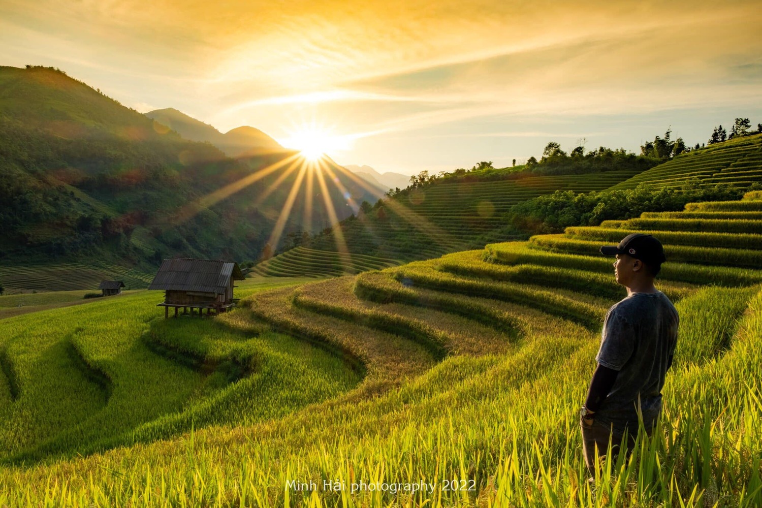 Mùa lúa chín ở Nậm Cang, cảnh sắc say đắm lòng người 4