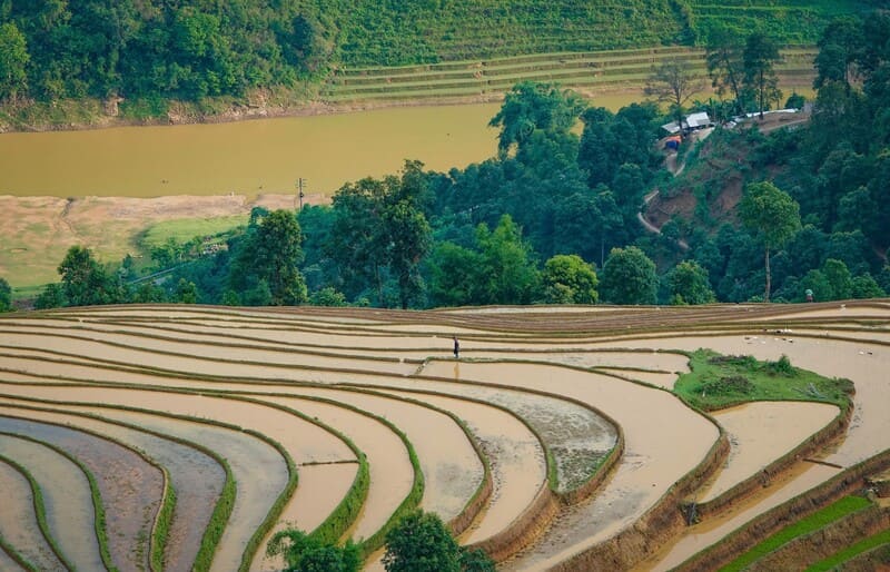 Mùa nước đổ Mù Cang Chải, vẻ đẹp diễm lệ nơi vùng cao Tây Bắc 2