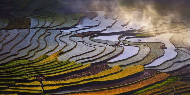 Mùa nước đổ Mù Cang Chải, vẻ đẹp diễm lệ nơi vùng cao Tây Bắc 5