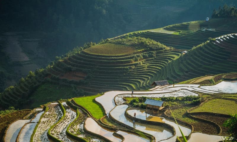 Mùa nước đổ Mù Cang Chải, vẻ đẹp diễm lệ nơi vùng cao Tây Bắc 6