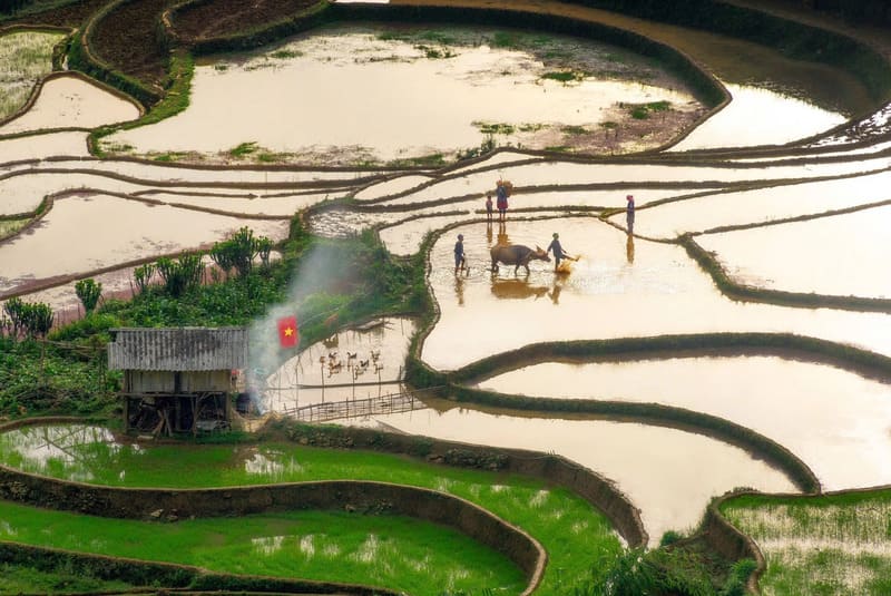 Mùa nước đổ Mù Cang Chải, vẻ đẹp diễm lệ nơi vùng cao Tây Bắc 8