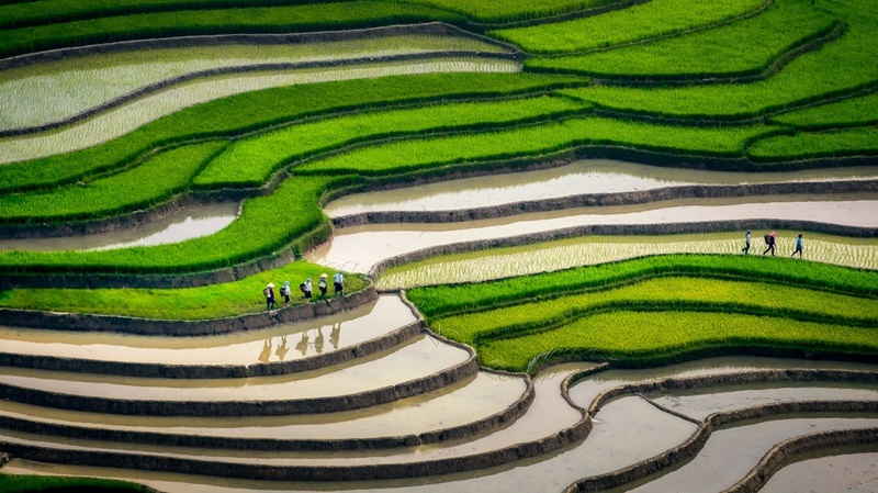Mùa nước đổ Tây Bắc nguyên sơ, mộng mị và đầy chất thơ 9
