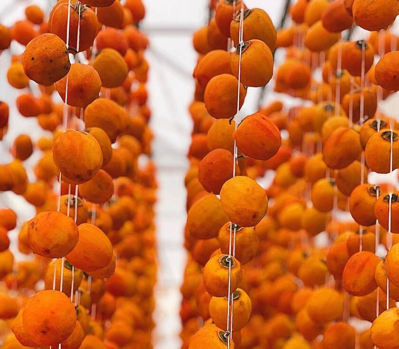 Mùa quả hồng Đà Lạt: Tinh hoa đặc sản mùa thu xứ sở ngàn hoa 6