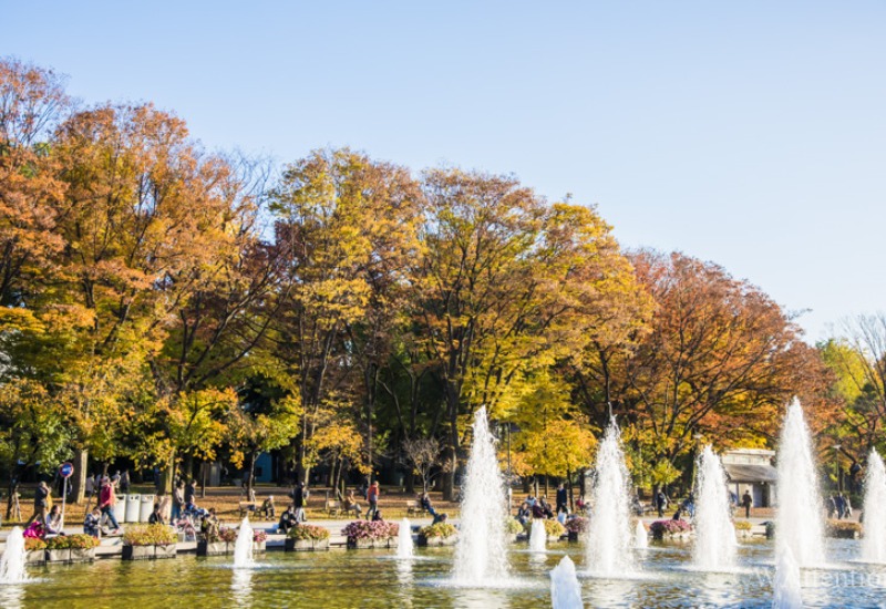 Khám phá công viên Ueno: công viên lâu đời nhất tại Tokyo 6