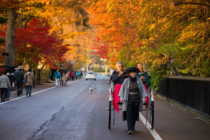 Mùa thu Nhật Bản: Cẩm nang săn lá đỏ từ Bắc xuống Nam 5