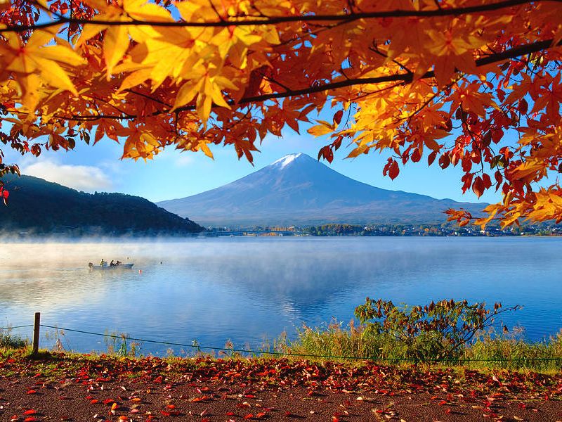 Vẻ đẹp thơ mộng của hồ Kawaguchi: Chuyến du ngoạn không thể bỏ qua 3