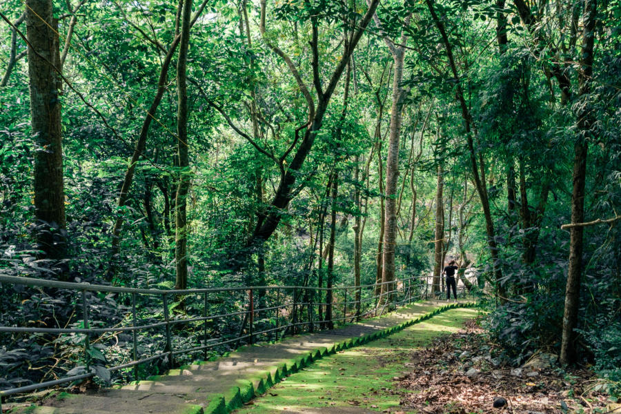 Mùa thu Vũng Tàu đang về yên bình trên từng con phố nhỏ 4