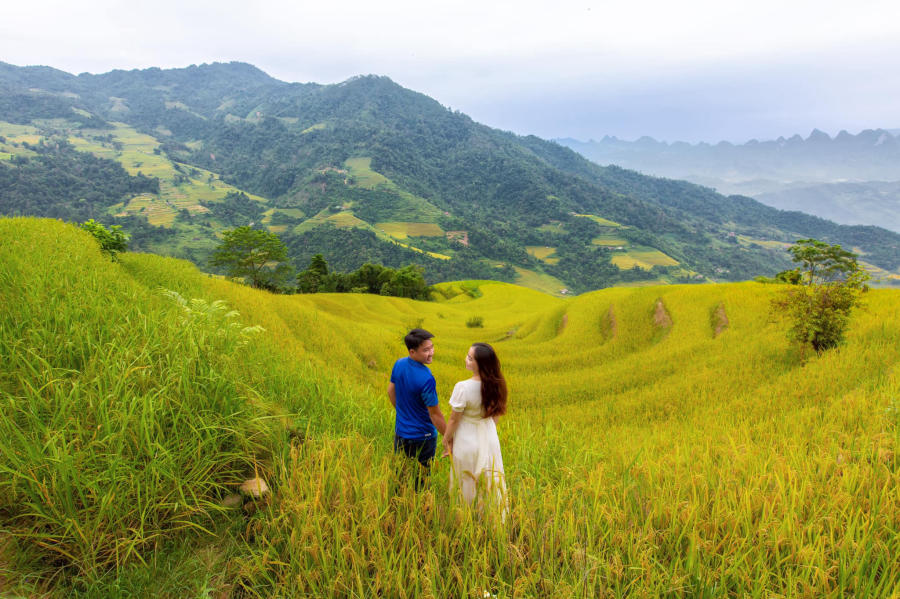 Mùa vàng Khuổi My tựa như tranh vẽ trên cao nguyên đá Hà Giang 2