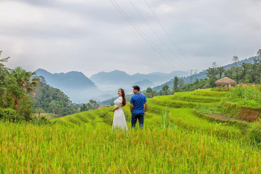 Mùa vàng Khuổi My tựa như tranh vẽ trên cao nguyên đá Hà Giang 5