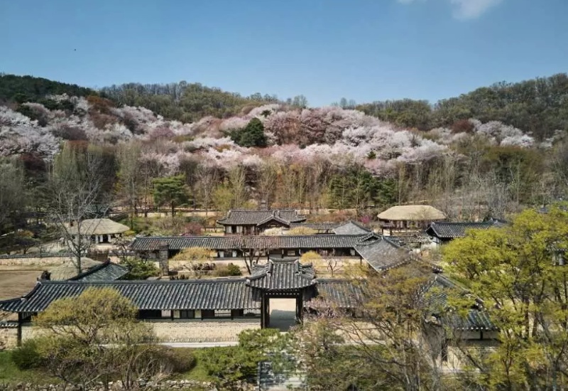 Korean Folk Village: địa điểm văn hóa độc đáo tại Hàn Quốc 3