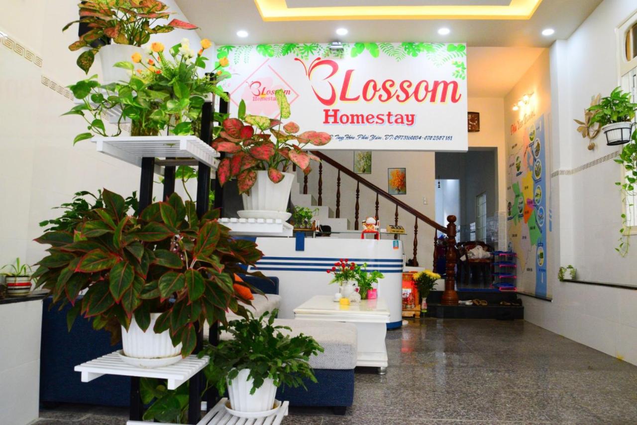 Mùa xuân đất trời tụ hội ở Blossom Homestay Phú Yên 2