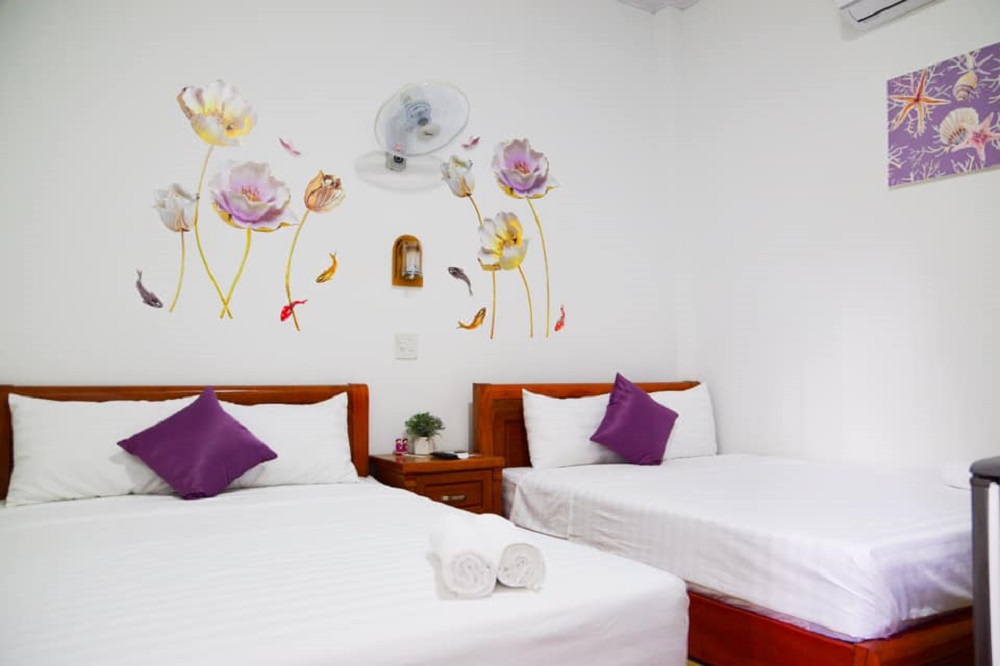 Mùa xuân đất trời tụ hội ở Blossom Homestay Phú Yên 5