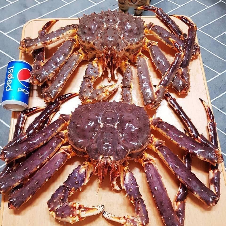 Muốn ăn cua hoàng đế ngon, đến ngay Nhà hàng Queen's Crab Huế! 6