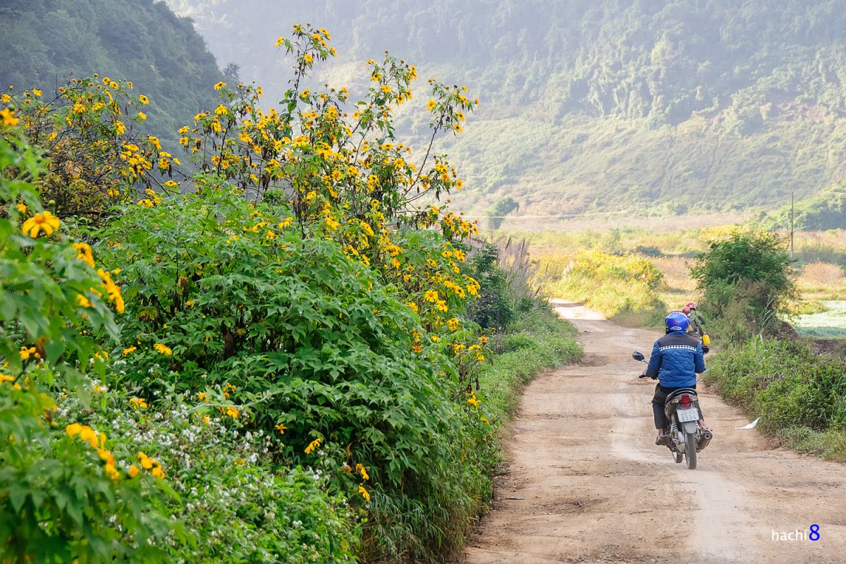 Muốn tìm Kinh nghiệm du lịch Mộc Châu tự túc 12 tháng thì về team MIA.vn! 3