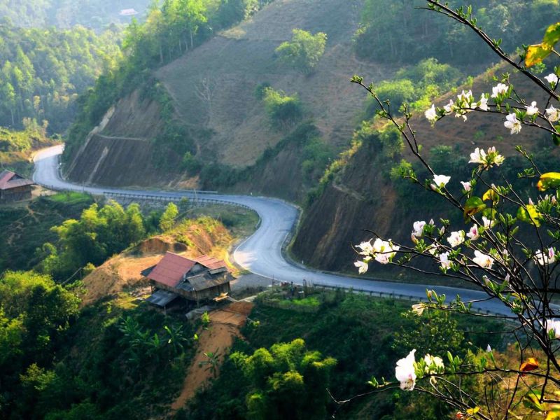 Mường Phăng: Khám phá vùng đất lịch sử giữa núi rừng Điện Biên 11