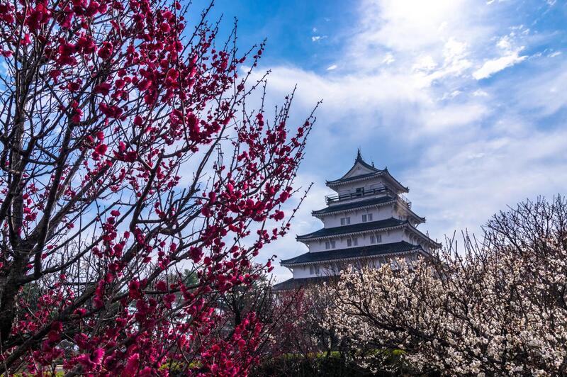 Nagasaki phố cảng đa sắc nơi giao thoa văn hóa Nhật Bản và nước ngoài 18