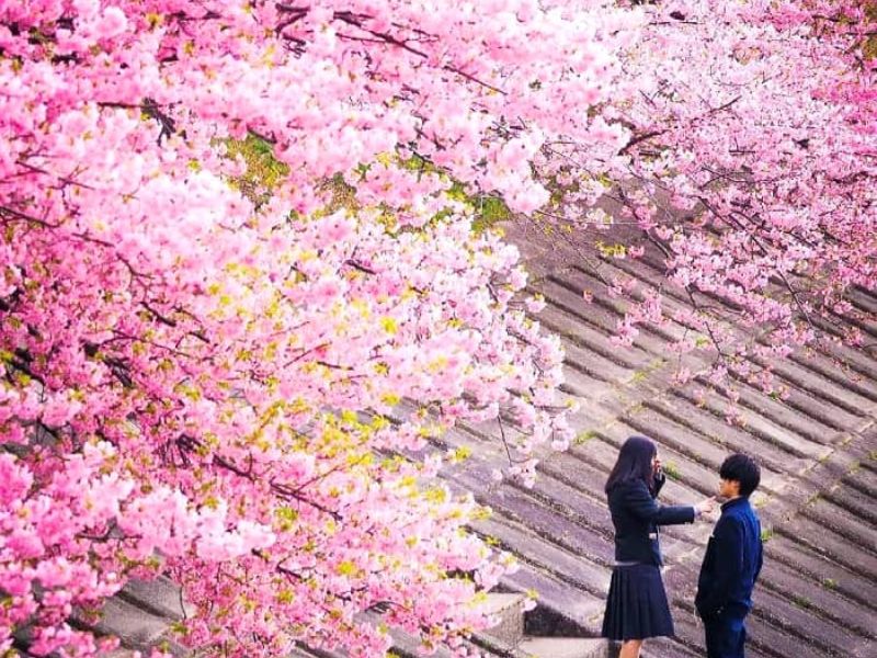 Du lịch Nago: Điểm đến 'chậm mà chất' của Okinawa 3