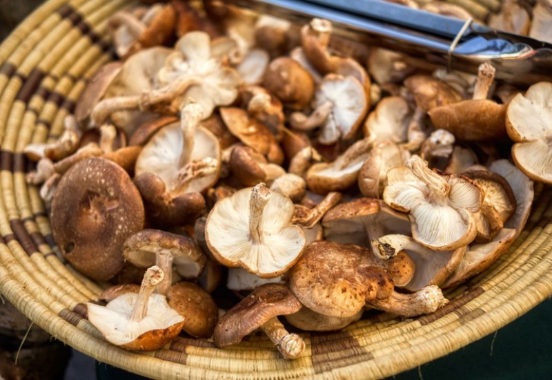 Oden: Món lẩu truyền thống thơm ngon tại Nhật Bản 14