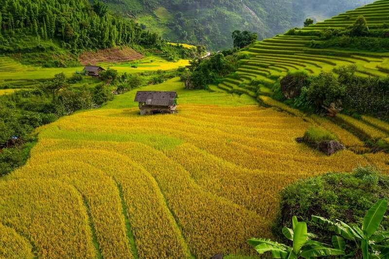 Nậm Cang, miền thiên đường lãng du tại Sapa 2