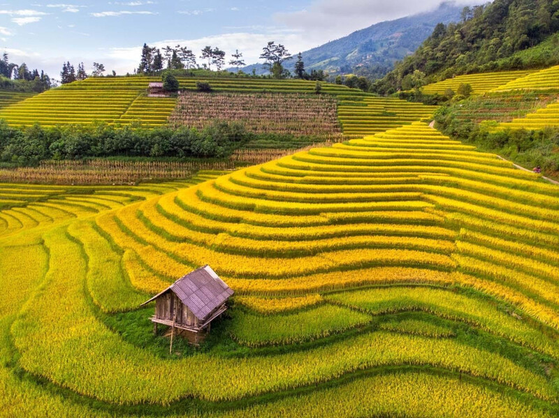 Nậm Cang, miền thiên đường lãng du tại Sapa 4
