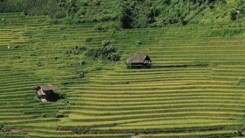 Nậm Cang, miền thiên đường lãng du tại Sapa 5