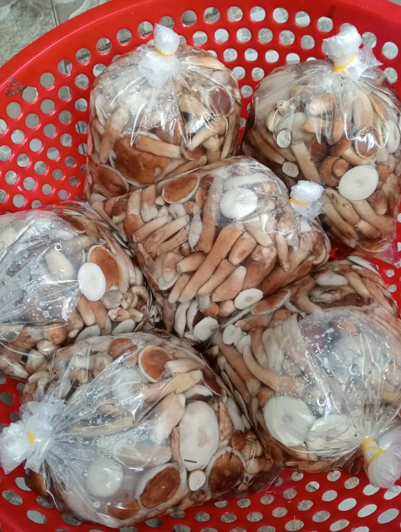 Nấm tràm Phú Quốc, đặc sản thơm ngon với vị đắng đặc trưng 4