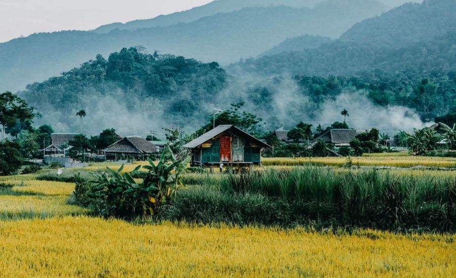 Nam Tran homestay Hà Giang, nơi đưa bạn đến với thiên nhiên hoang dã 8