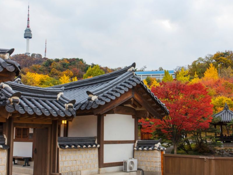 Khám phá làng Namsan Hanok: Nơi gìn giữ tinh hoa văn hóa Hàn Quốc 3