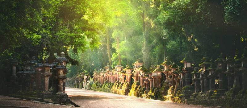 Cố đô Nara, vùng đất của những chú nai với văn hóa lâu đời 17