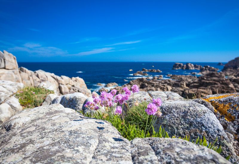 Du lịch Brittany: Nét đẹp cổ kính bên bờ Đại Tây Dương 2