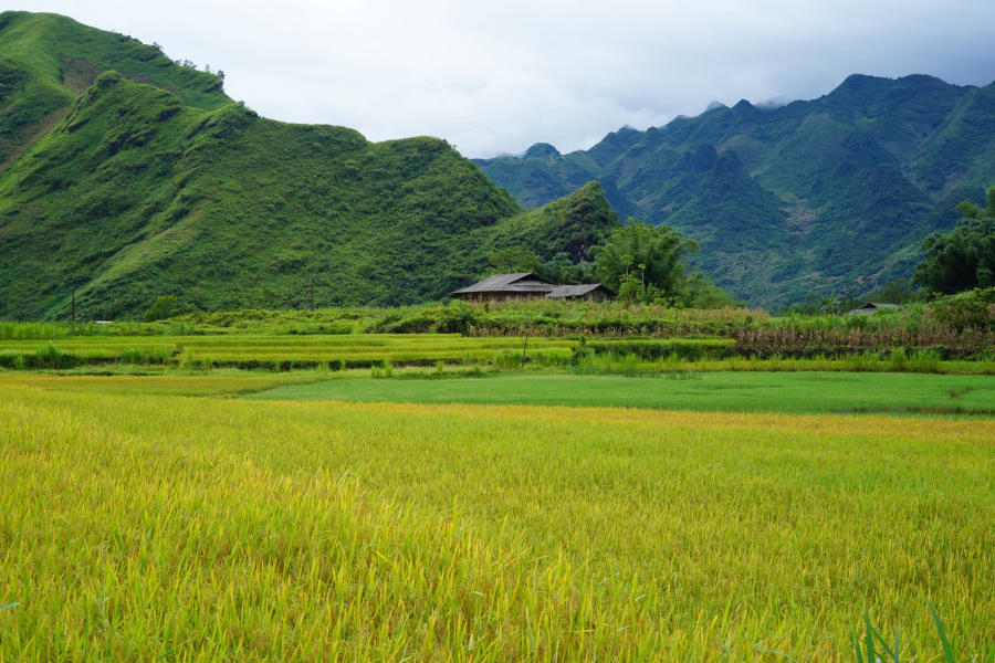 Ngắm nhìn Bản Du Già thanh bình vào mùa đẹp nhất 2