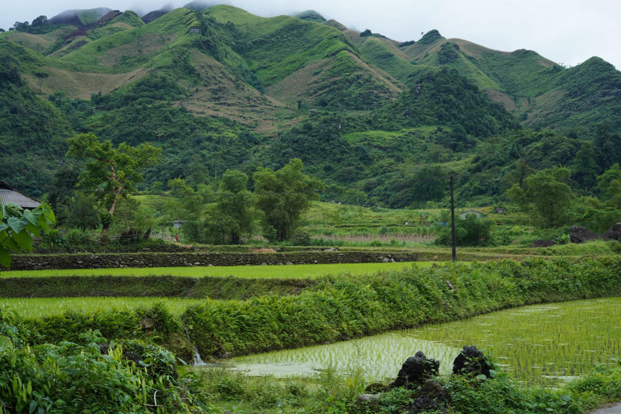 Ngắm nhìn Bản Du Già thanh bình vào mùa đẹp nhất 4