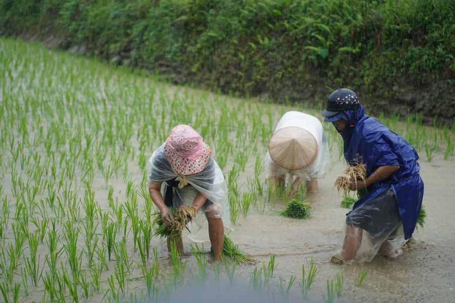 Ngắm nhìn Bản Du Già thanh bình vào mùa đẹp nhất 10