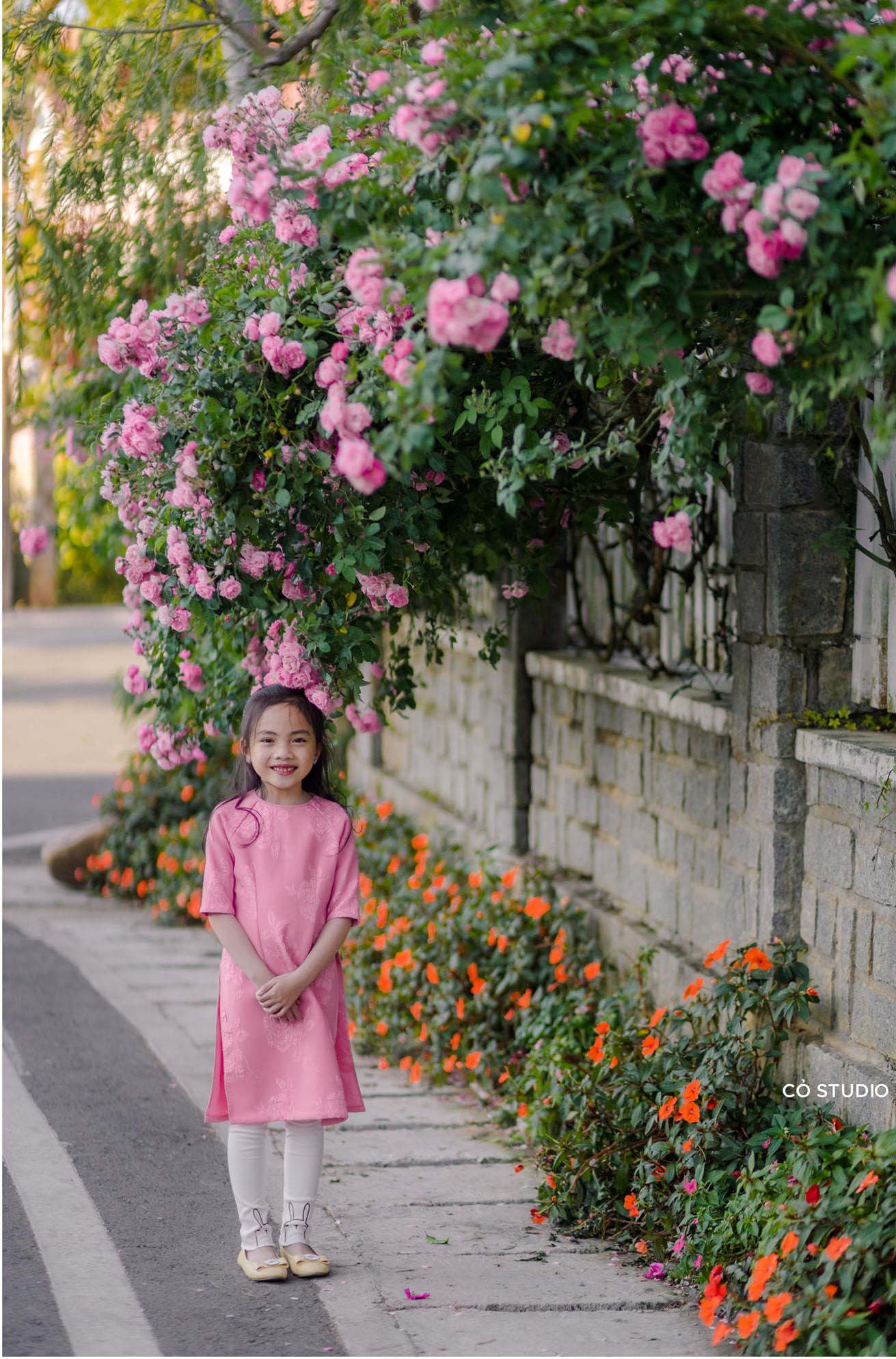 Ngẩn ngơ trước vẻ đẹp của hàng rào hoa hồng Đà Lạt - 'Nàng thơ' mới của thành phố mộng mơ 6